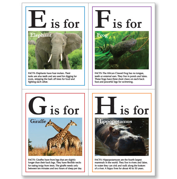 African Animal Flashcards – A4